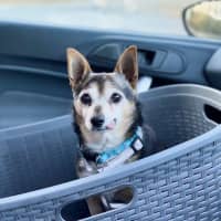 Photo of Miguel Kumara