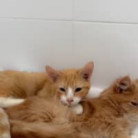 Photo of Teddy & Alexander