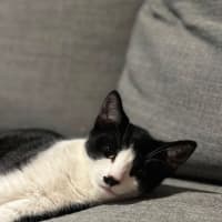 Photo of Zip