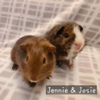 Photo of Jennie & Josie