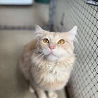 Photo of Buddy
