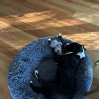 Photo of Diva