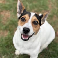Photo of Missy