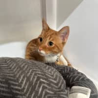 Photo of Vader & Weasley 