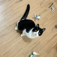 Photo of 🍀Blanaid🍀