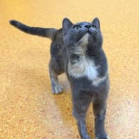 Photo of Maybelle