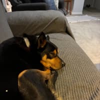 Photo of Ponzi