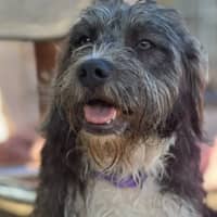 Photo of Sylvia