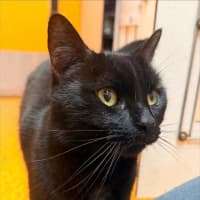 Photo of Freya