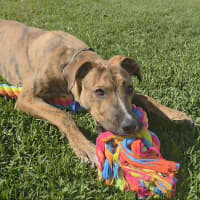 Photo of Tank