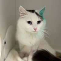 Photo of Lilli