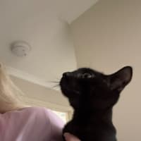 Photo of Rueben 