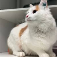 Photo of Bonnie