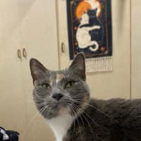 Photo of Pippa