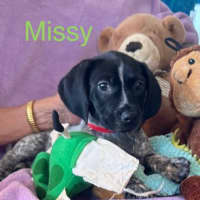 Photo of Missy