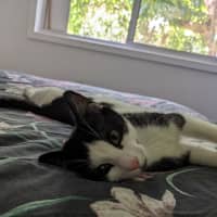 Photo of Lucky And Sosage