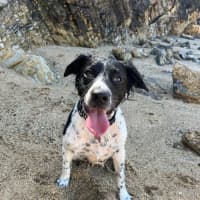 Photo of Lilly