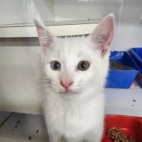 Photo of Avalanche, Frost And Snowy