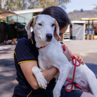 Photo of Kindred