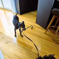 Photo of Urban