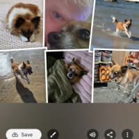 Photo of Duggie