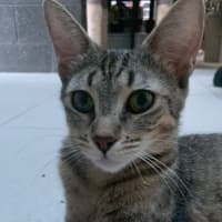 Photo of Ellie (Eleanor)