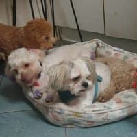 Photo of Beautiful Frieda