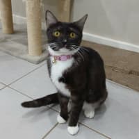 Photo of Yuki