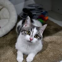 Photo of Kate