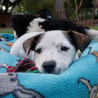 Photo of Wilma