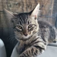 Photo of Rocky