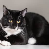 Photo of Squiggle