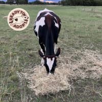 Photo of Bessie & Beatrice