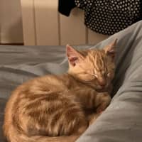 Photo of Monty