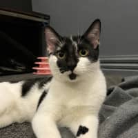 Photo of Precious