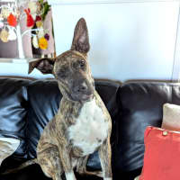 Photo of Mimi