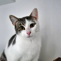 Photo of Kathy