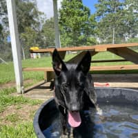 Photo of Atlas