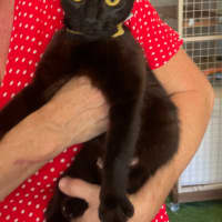 Photo of Marge (With Homer)