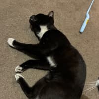 Photo of Xander