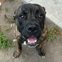 Photo of Bruce Imp 67