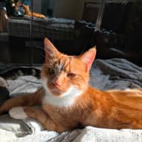 Photo of Tokyo & Miso 