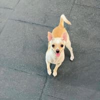 Photo of Holly Silvanus