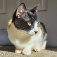 Photo of Monica