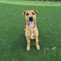 Photo of Xena Imp 2533