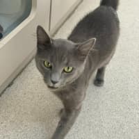 Photo of Memphis (9183)