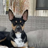 Photo of Kip 