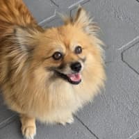 Photo of Coco