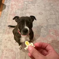 Photo of Popcorn