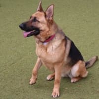 Photo of Agatha